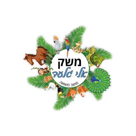 k social לקוחות